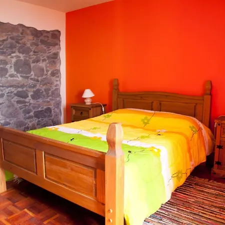 Outdoor Shared Pool - Vivenda Rustica Da Calheta Villa